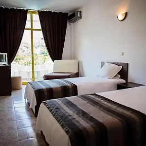 Vladislav (adults Only) 3* Warna