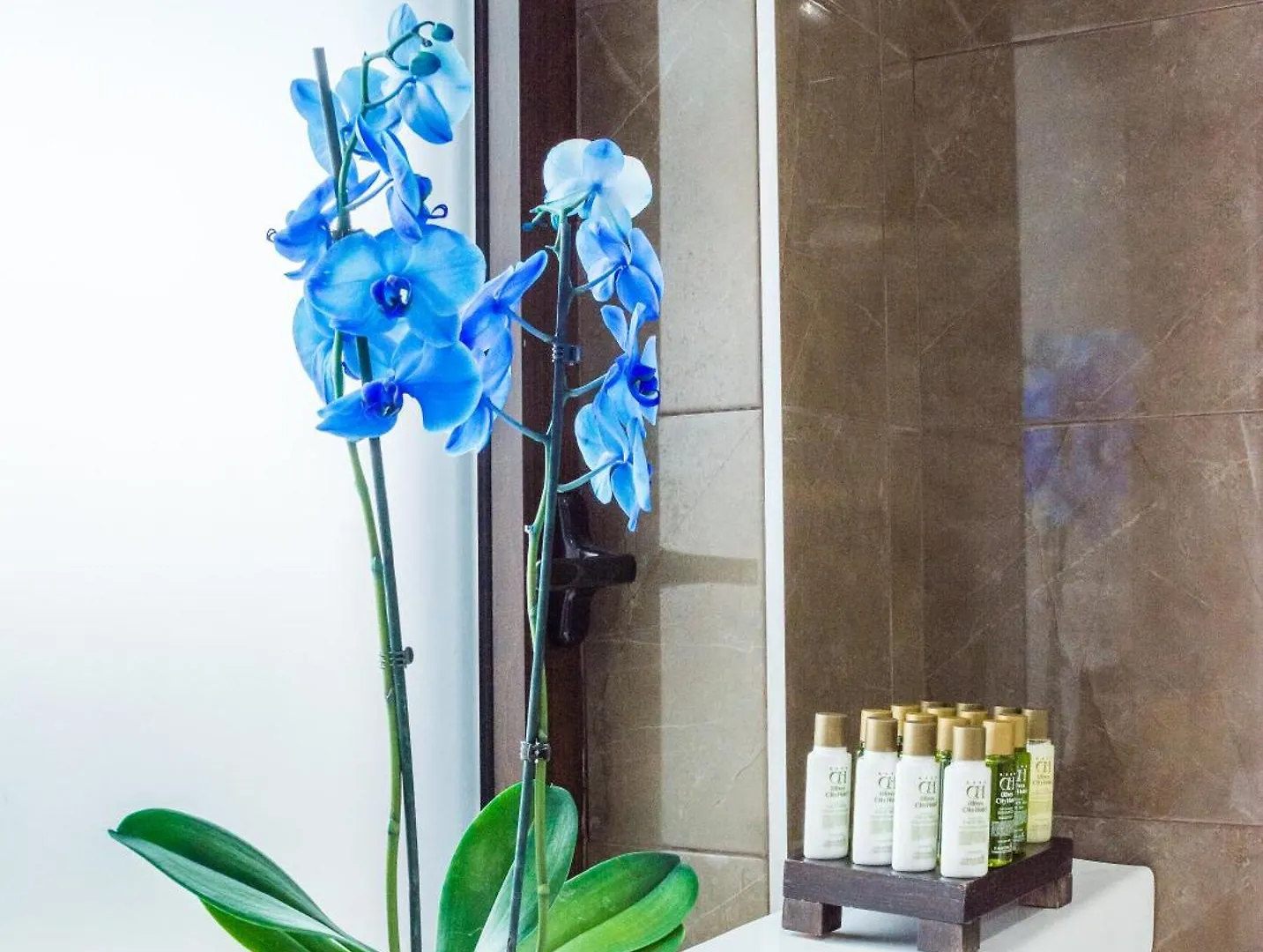 Best Western Plus Olives City Hotel - Free Pool & Parking Sofía